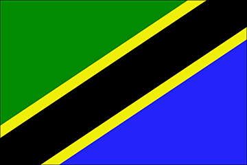 The flag of Tanzania